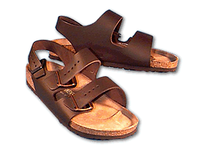 Birkenstock women's Milano brown 2 strap with back strap sandal