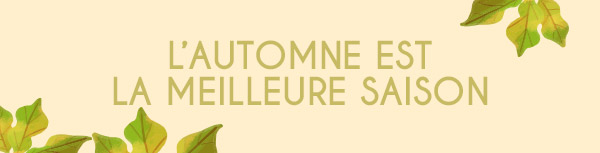 Collection Banner Alt Text