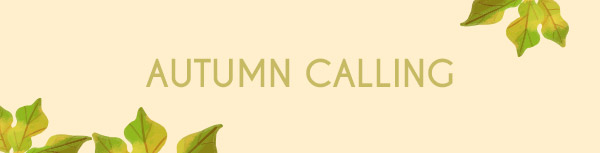 Collection Banner Alt Text