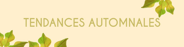 Collection Banner Alt Text