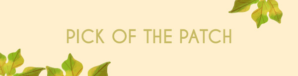 Collection Banner Alt Text
