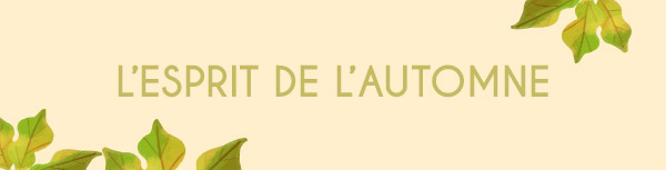 Collection Banner Alt Text