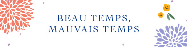 Collection Banner Alt Text