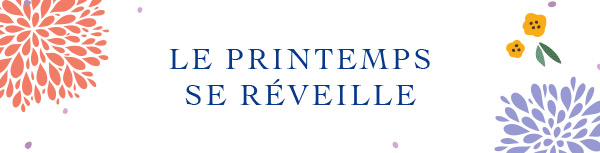Collection Banner Alt Text