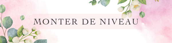 Collection Banner Alt Text