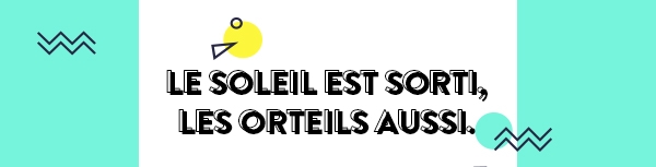 Collection Banner Alt Text