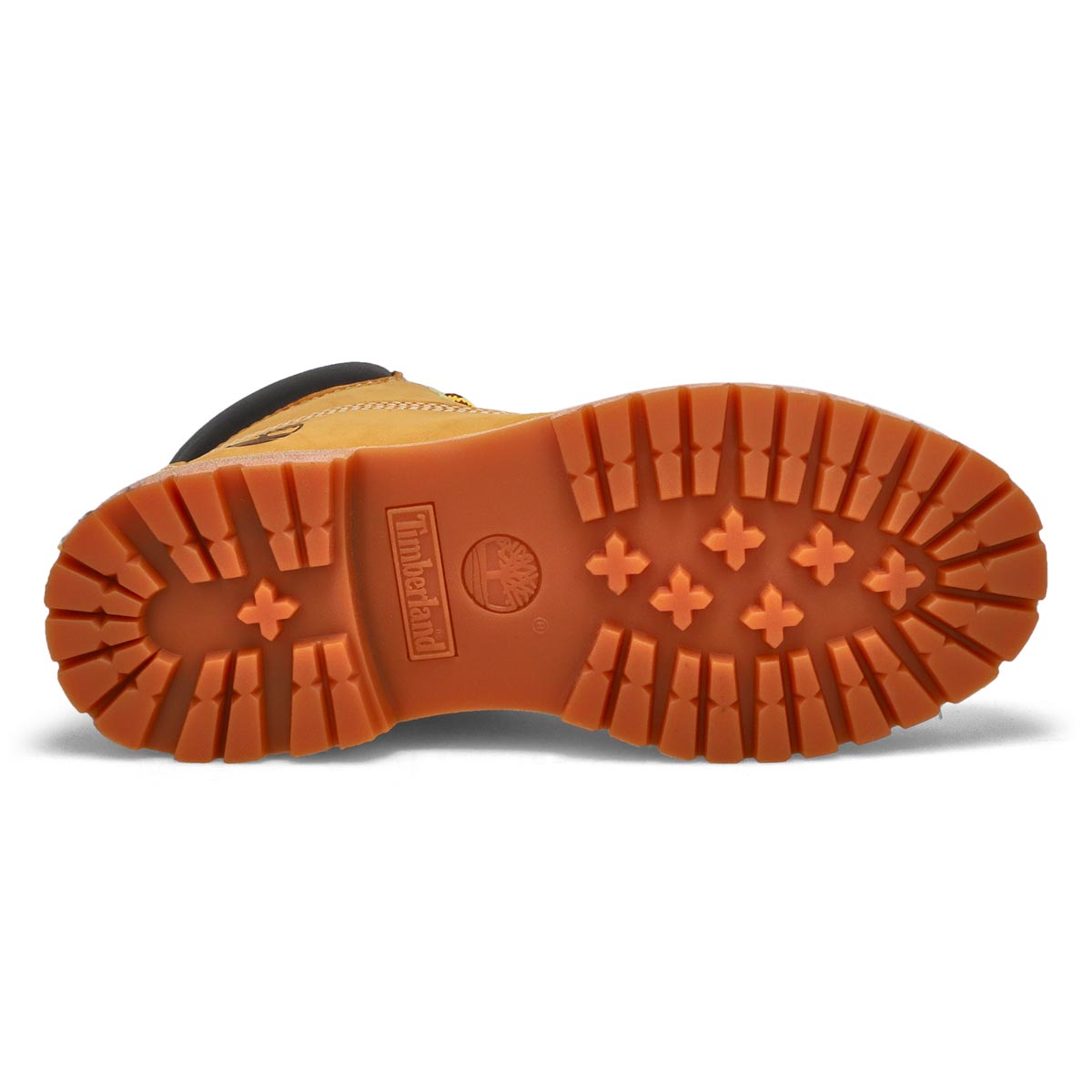 Lds Icon 6