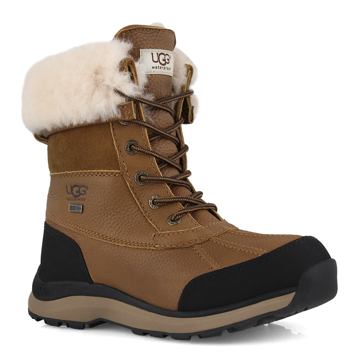 Lds Adirondack III chestnut winter boot