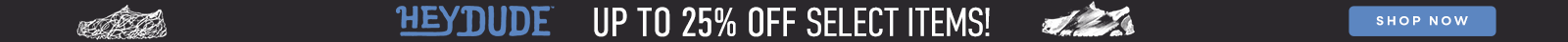 SoftMoc top banner
