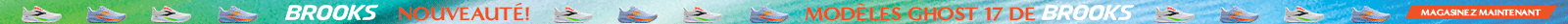 SoftMoc top banner