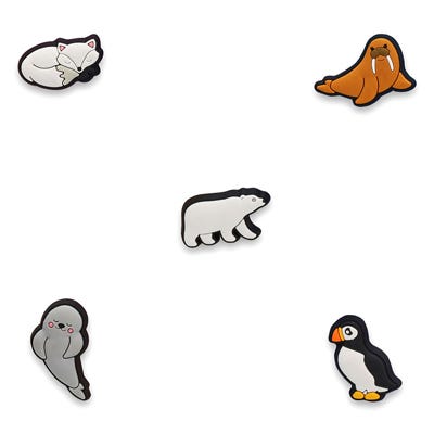 Ensemble de breloques Jibbitz IN THE ARCTIC - 5 pièces