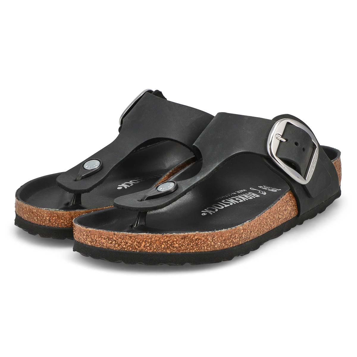 Women's Gizeh Big Buckle Thong Sandal - Black