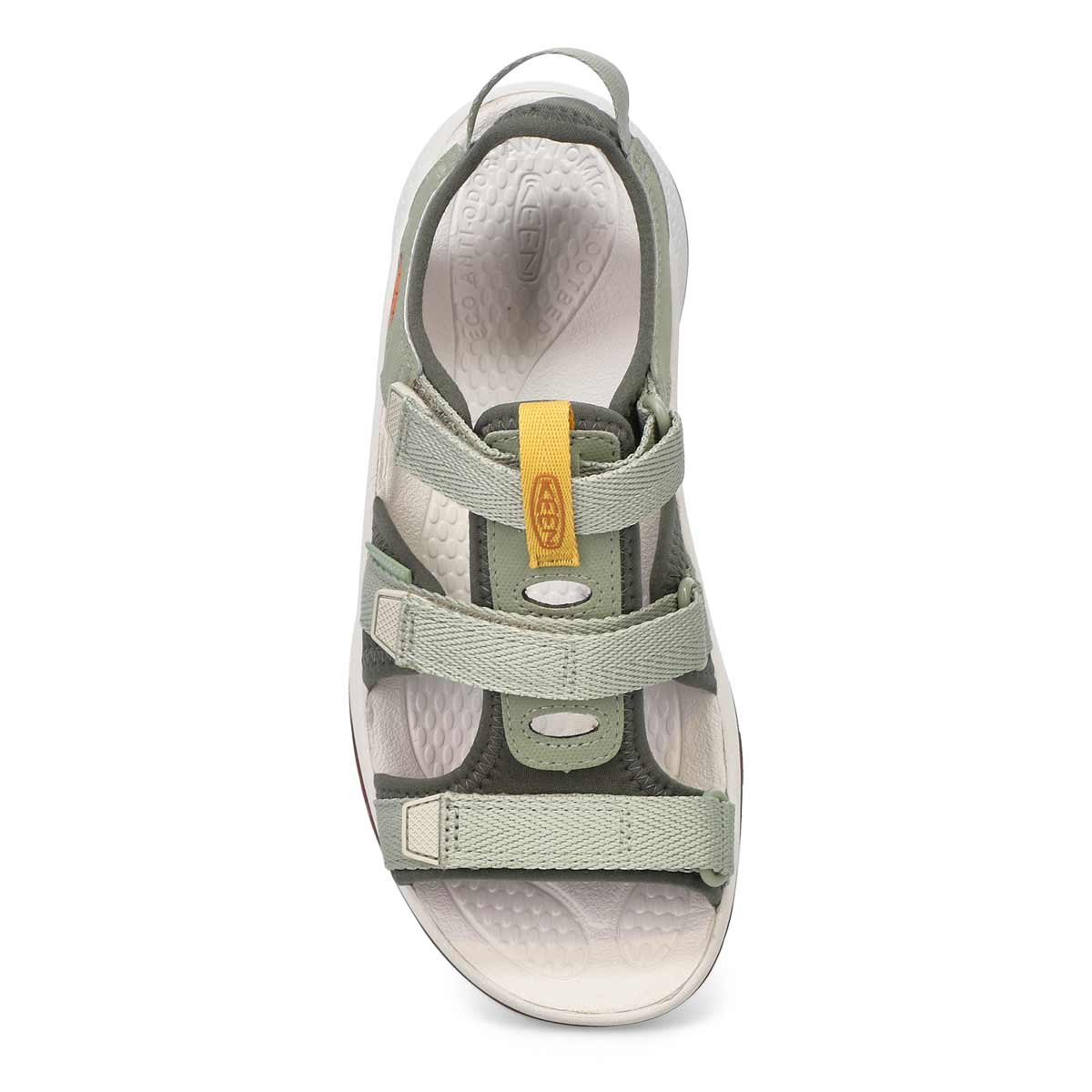 vaneli loafers