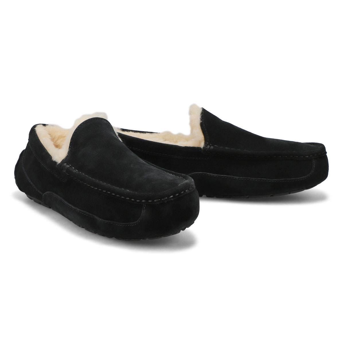 Men's Ascot Sheepskin Slipper - Black