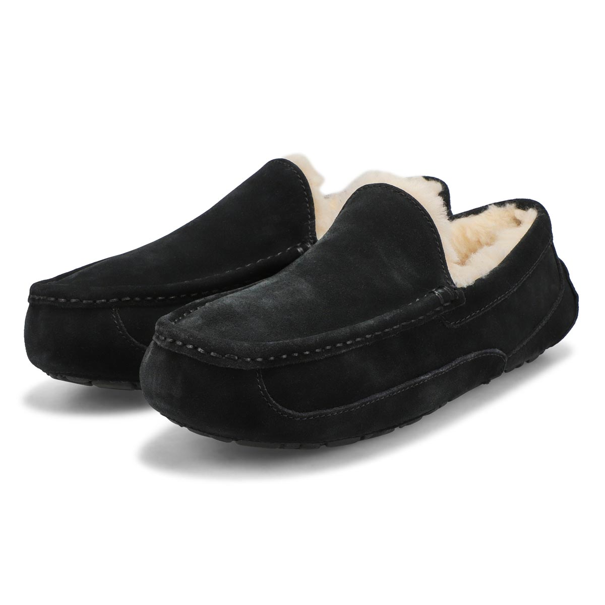 Men's Ascot Sheepskin Slipper - Black