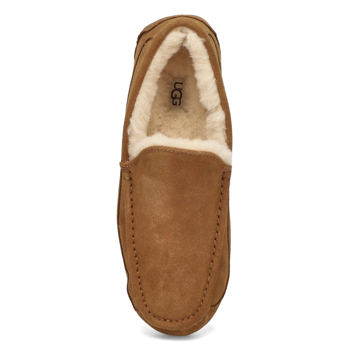 Men's Ascot Sheepskin Slipper - Chestnut