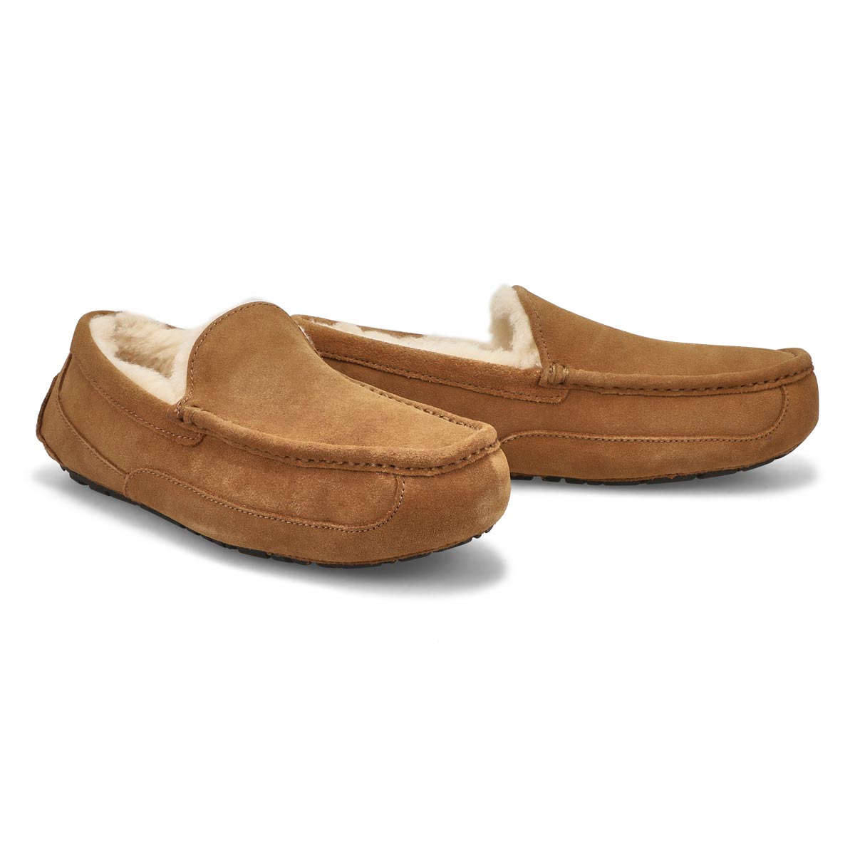 Men's Ascot Sheepskin Slipper - Chestnut