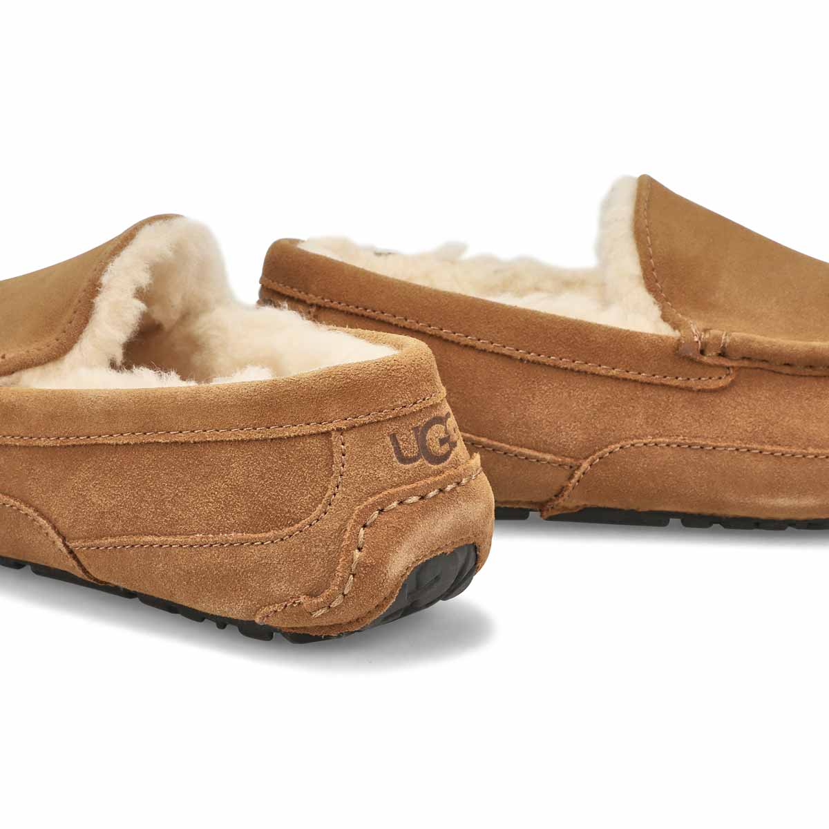 Men's Ascot Sheepskin Slipper - Chestnut