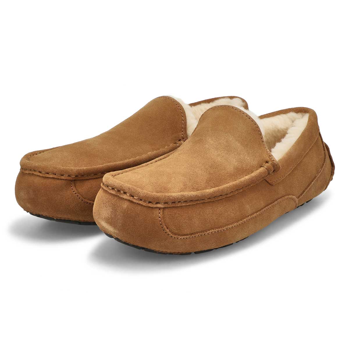 Men's Ascot Sheepskin Slipper - Chestnut