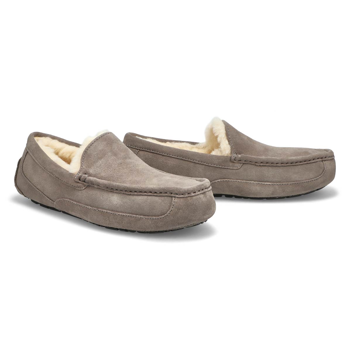 Men's Ascot Sheepskin Slipper - Grey