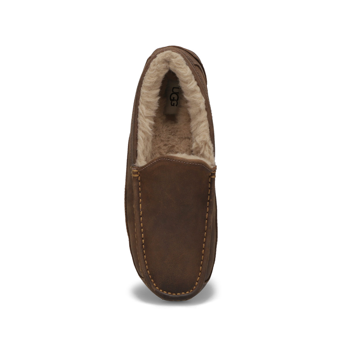 Men's ASCOT Sheepskin Slipper - Tan