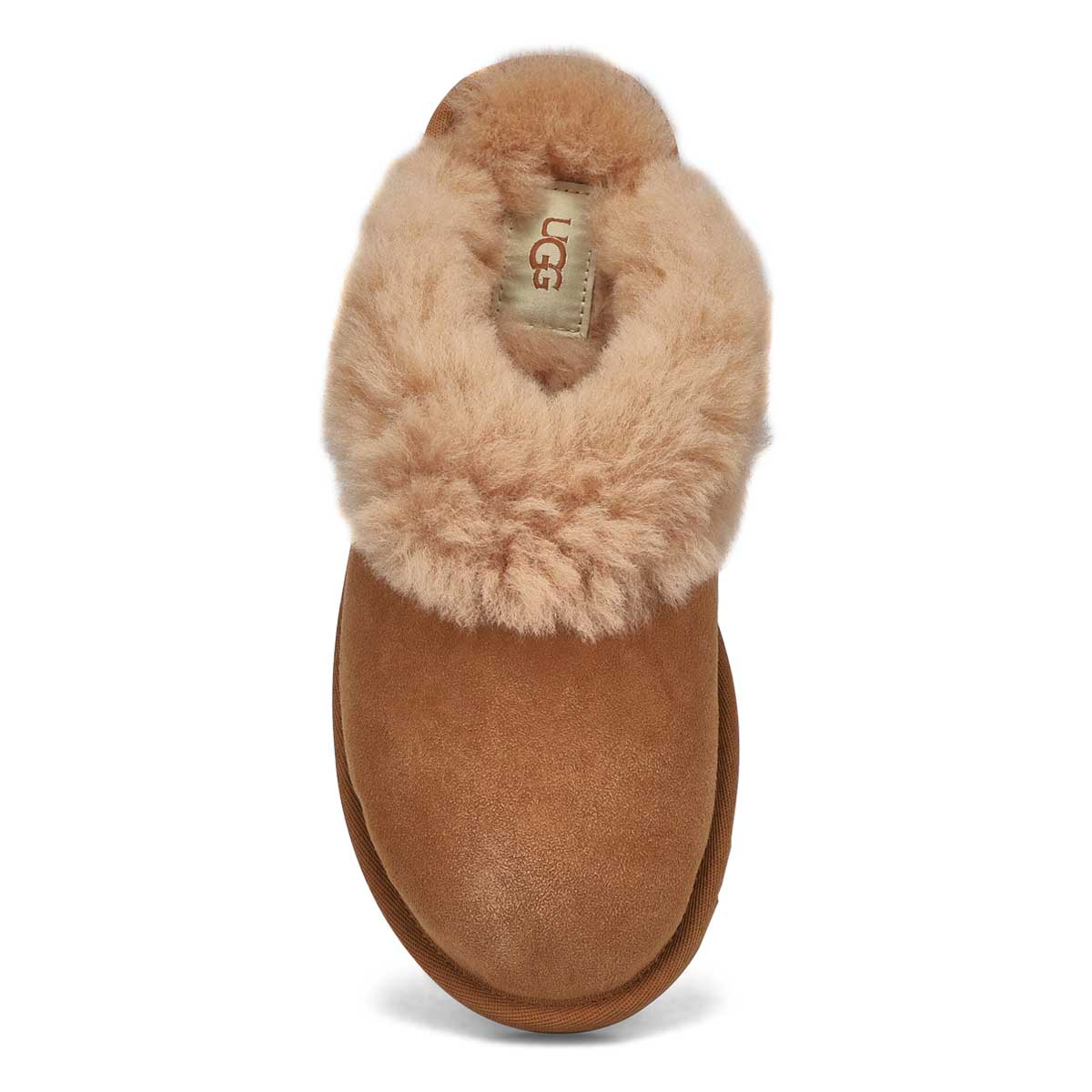Pantoufle CLASSIC SLIPPER II, châtain, femmes