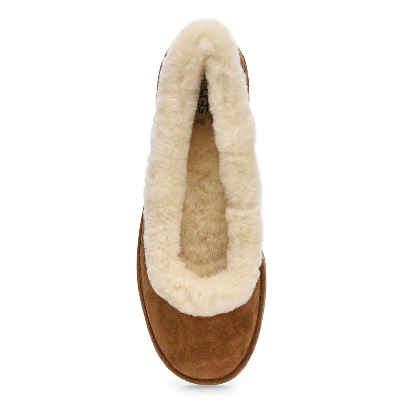 Women's  Zora Ballet Flat - Chestnut