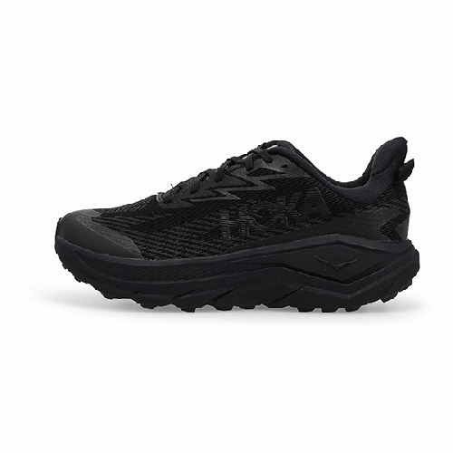 HOKA Men's Challenger 8 GTX Lace Up Wide Perf | SoftMoc.com