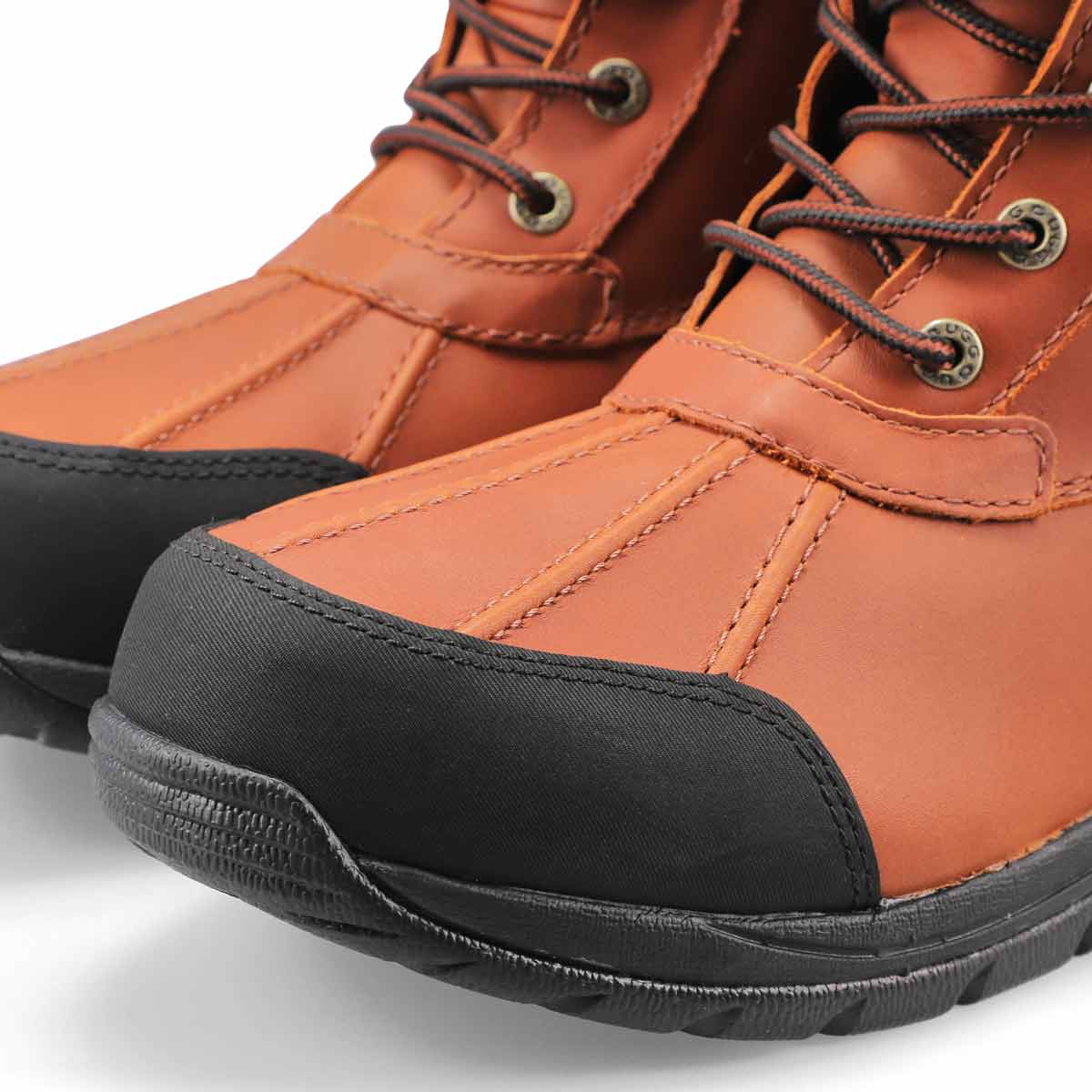 Men's Butte Waterproof Winter Boot - Worchester