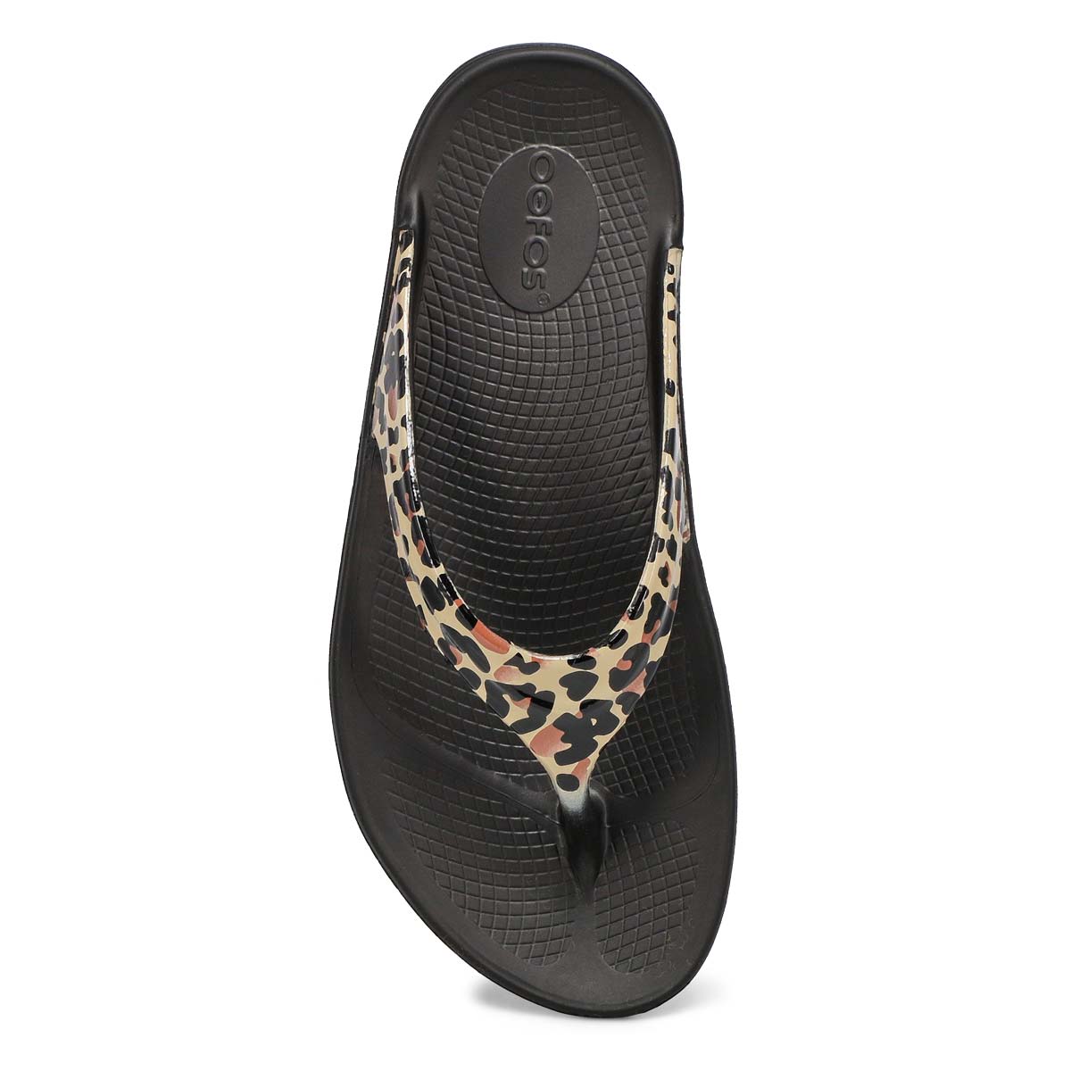 Tongs OOLALA LTD, femmes