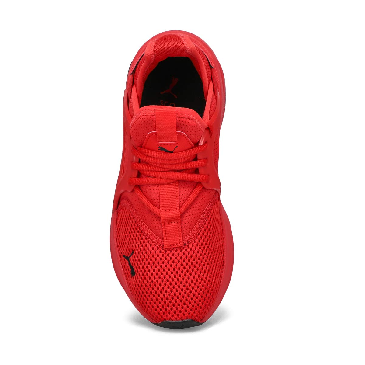 Boys' Softride Enzp Evo Jr Sneaker - Red