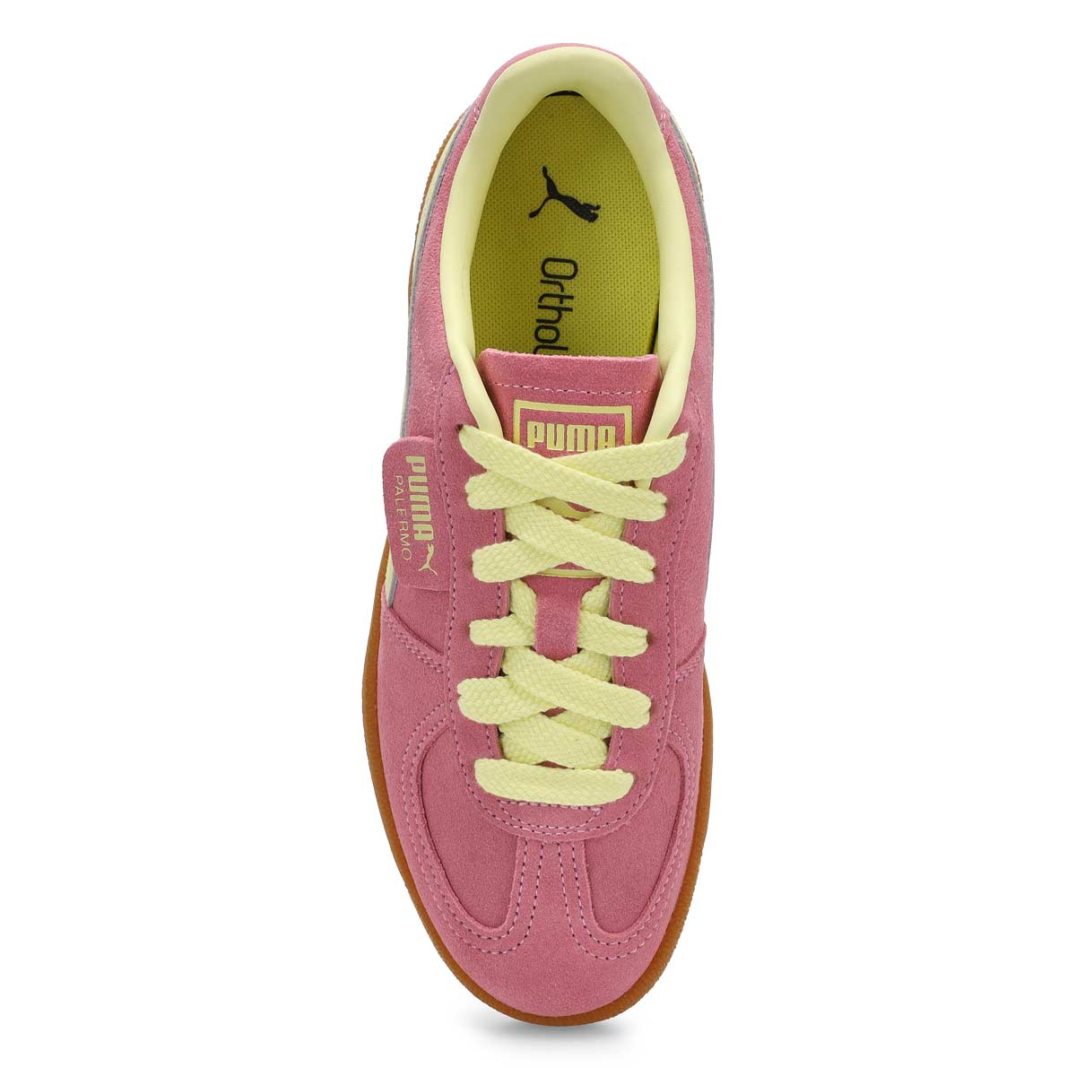 Women's Palermo Lace Up Sneaker - Poised Pink/Gold Moon