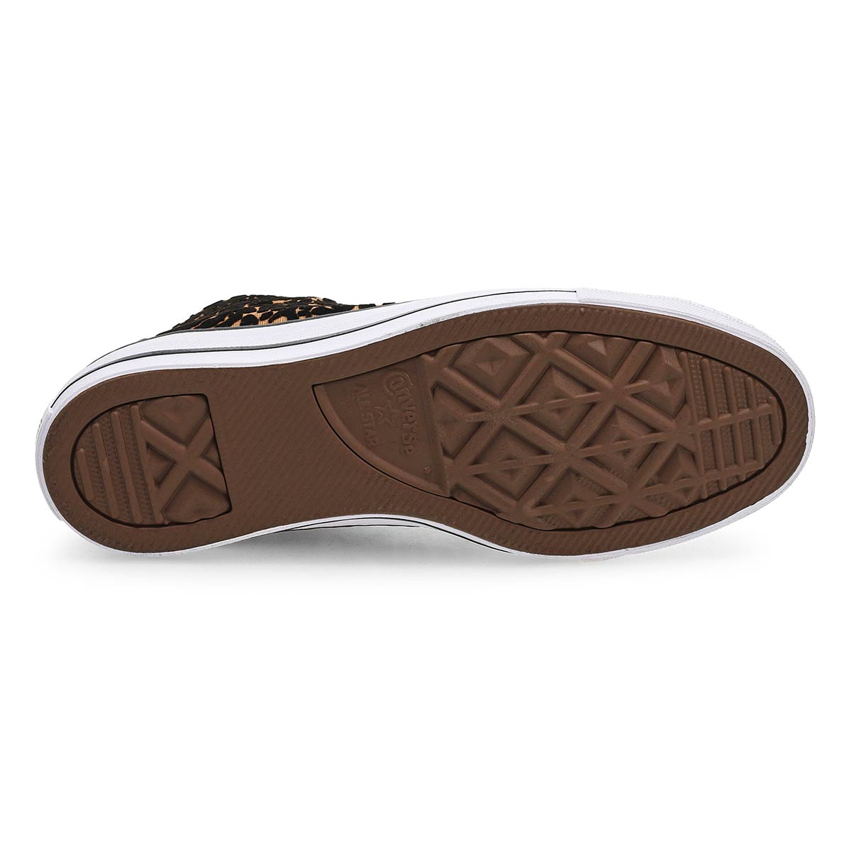 Baskets hautes CHUCK TAYLOR ALL STAR ANIMAL PRINT HI, brun/noir, femmes