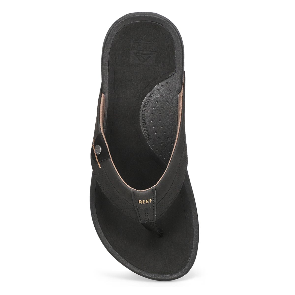 Tong REEF PACIFIC, noir/brun, hommes