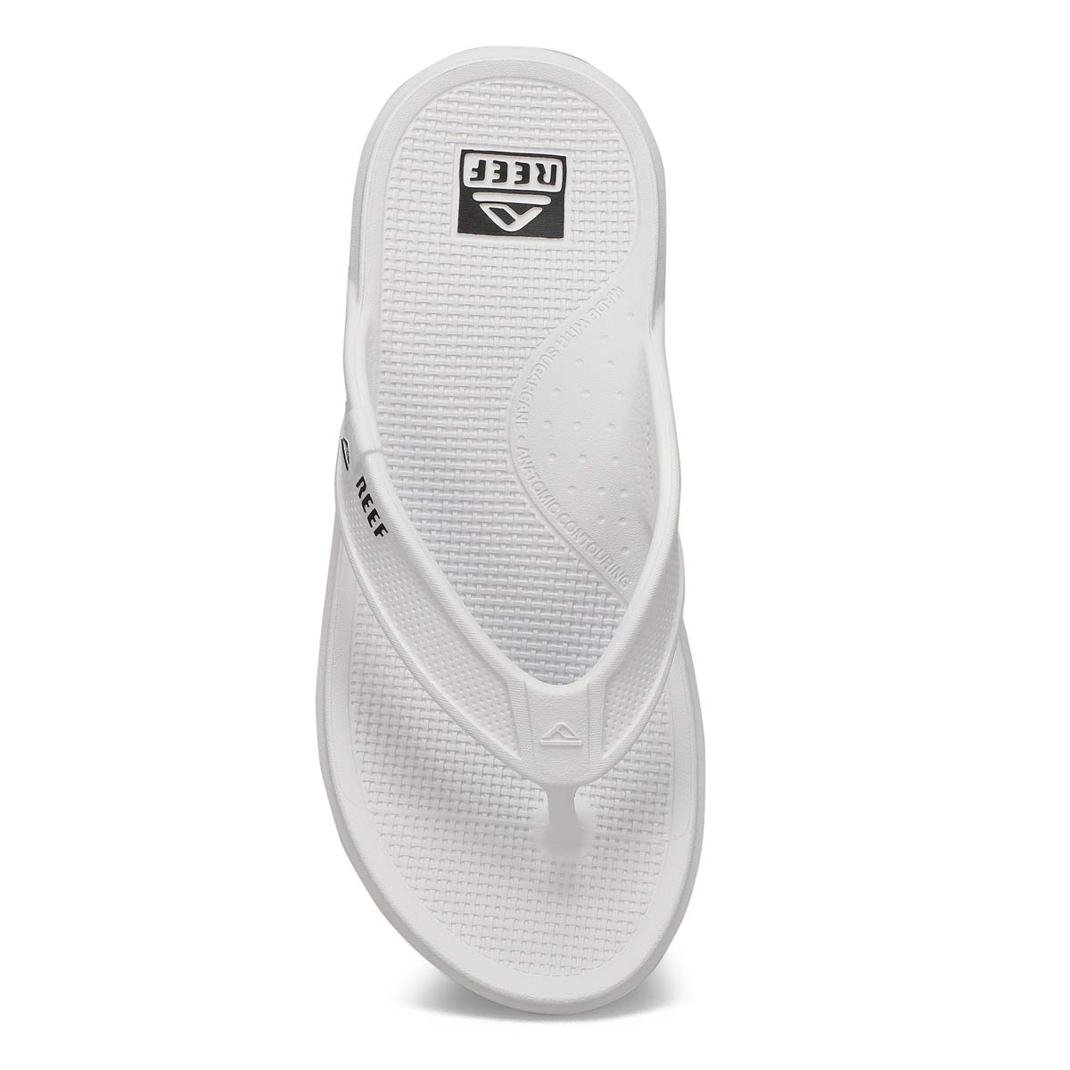 Men's Oasis Thong Sandal - Blanc De Blanc