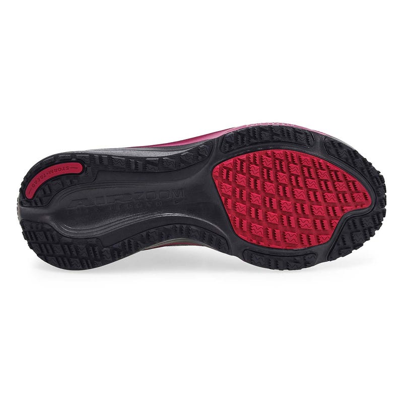 Women's Pegasus 42 Gortex Performance Sneaker - Black/Silver