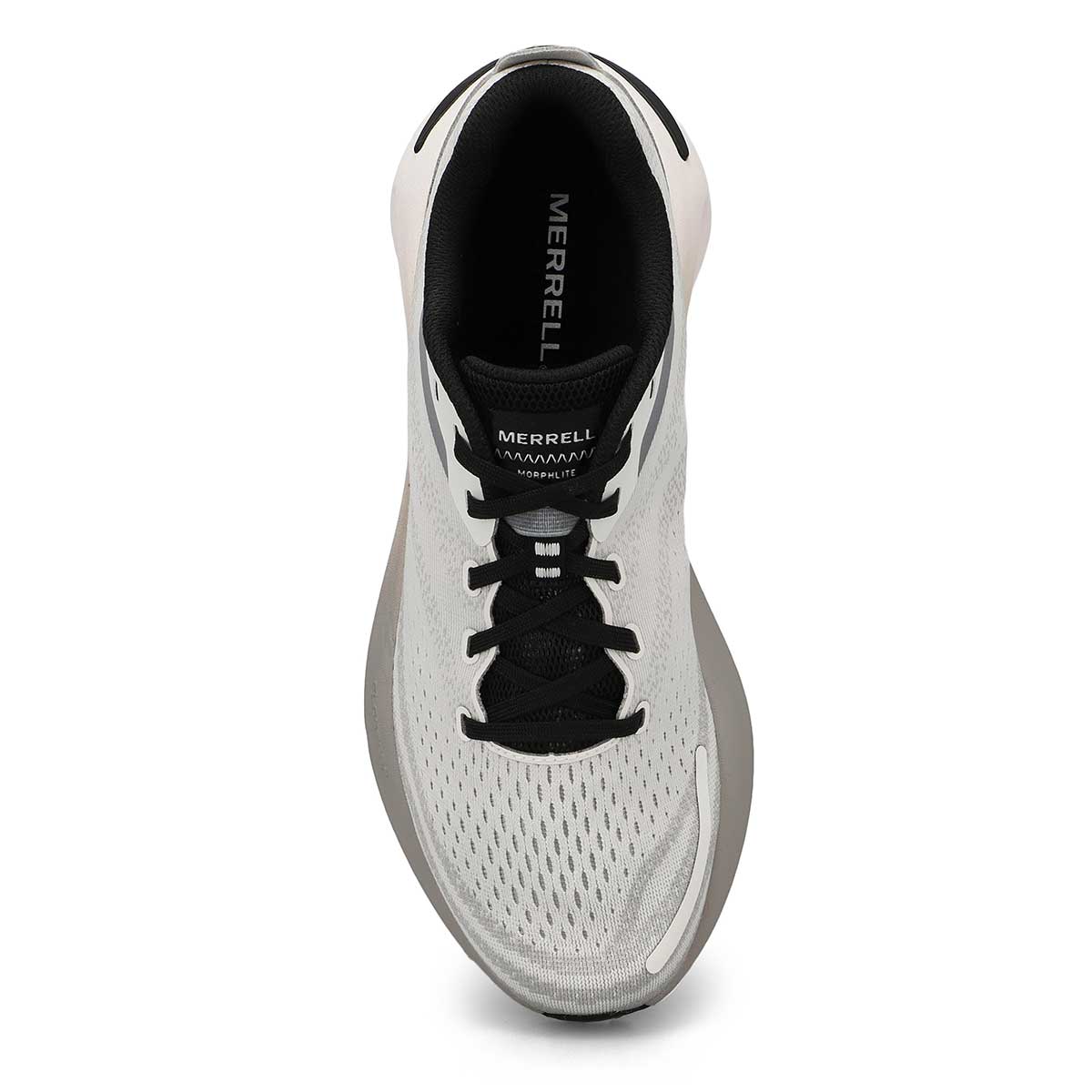 Chaussure de course de performance MORPHLITE, cendre/noir, hommes