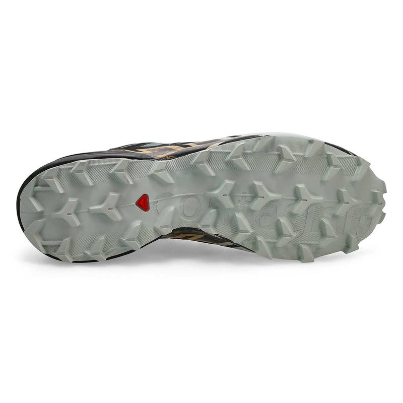 Baskets de performance imperméables SPEEDCROSS 6 GTX, gris/noir/grive des bois, hommes