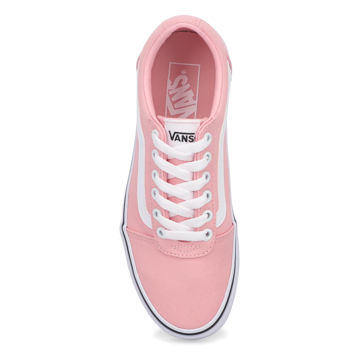 Women's Ward Sneaker - Powder Pink